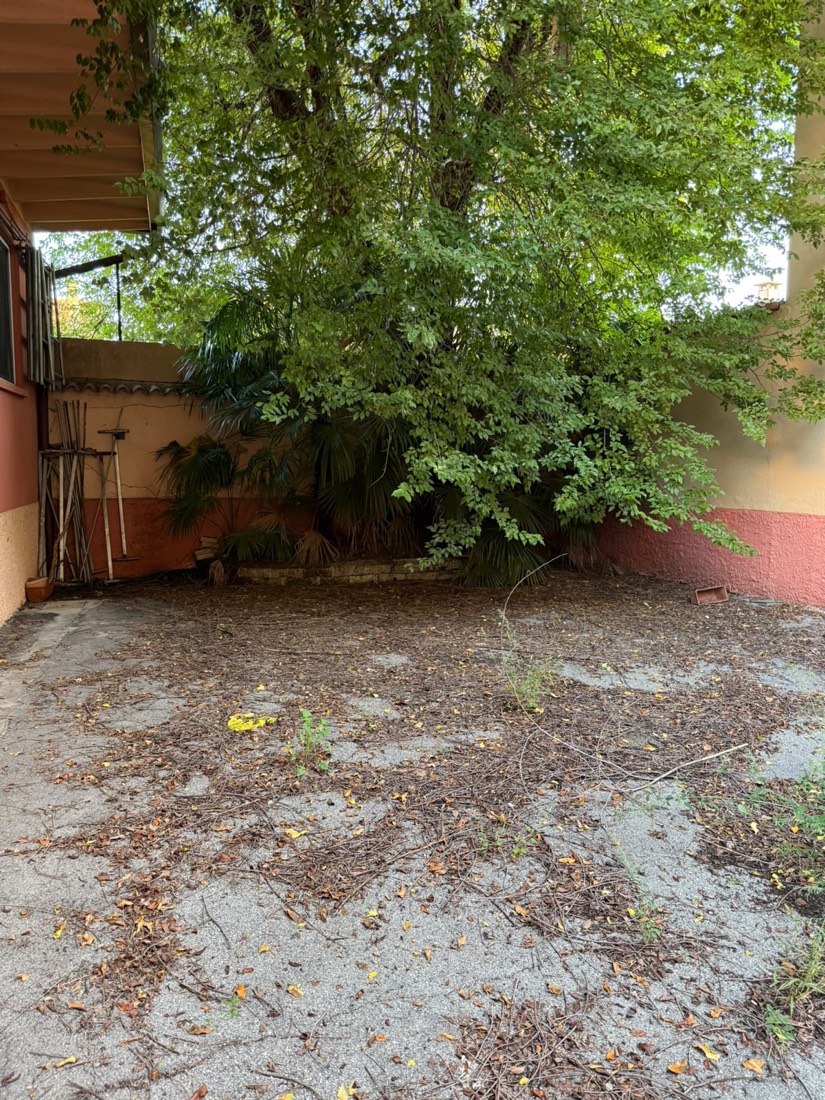 Cortile esterno sporco prima della pulizia