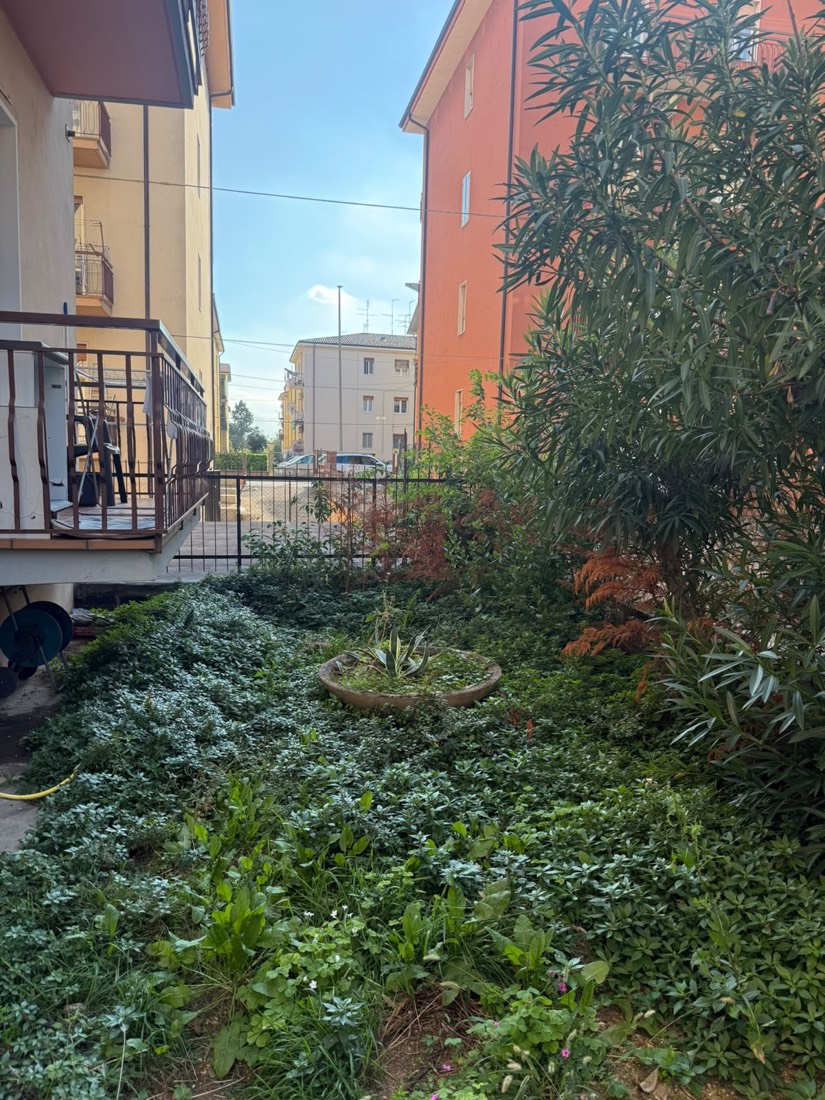 Giardino con erbacce prima dell'intervento